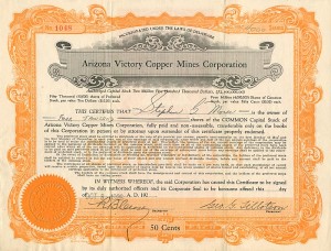 Arizona Victory Copper Mines Corporation